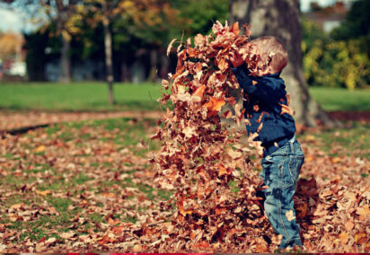 abrazos-events-kid-leaves