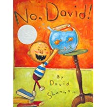 No, David! book cover